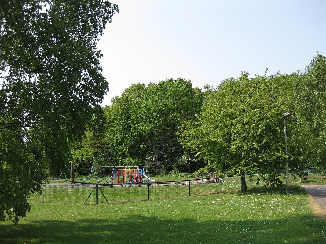 Photograph accompanying Explore Whisby Nature Park and its Dragonfly Hotspot